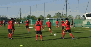 国外足球爆料视频大全,独家爆料视频大全  第3张